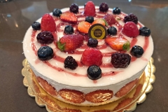 torta-4