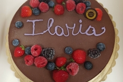torta-gelato-13